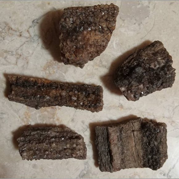 petrified wood covered in smokey \ smoky quartz stone rock fossil chunks - Picture 5 of 5